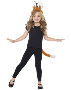 Kit de renard pour enfant