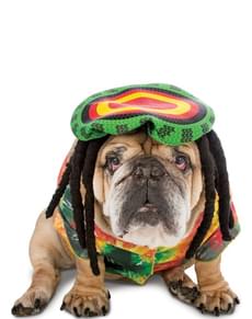Costume da rastafari per cane