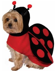 Costume da coccinella per cani