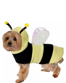 Costume da ape per cani