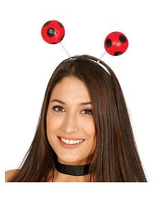 Antennes coccinelle adulte