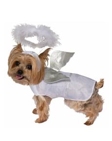 Engel Kostyme Hund