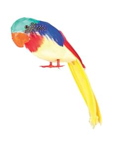 Papagei Skelett Figur mehrfarbig