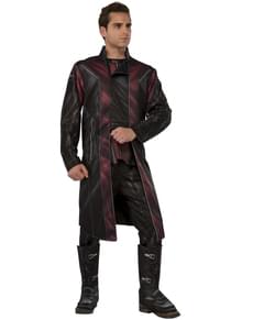 Men's Deluxe Falcon Eye Costume