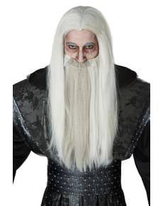 Mens Wizard Wig