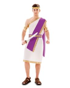 Men's Purple Roman Costume