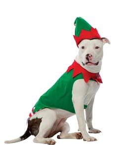 Hundekostüm Elfe