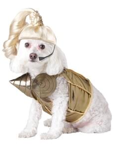 Déguisement Blond Ambition